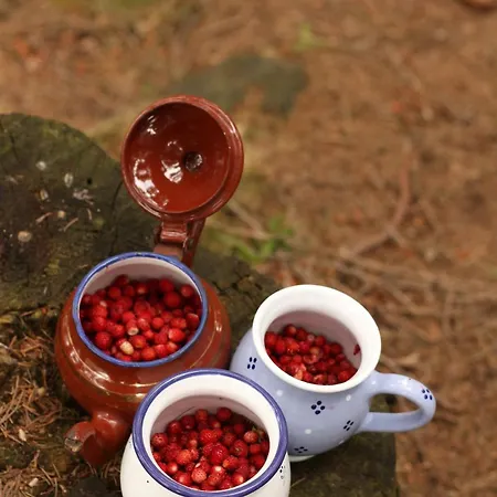 Pod Skalou Liptovská Osada